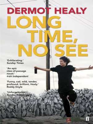 cover image of Long Time, No See